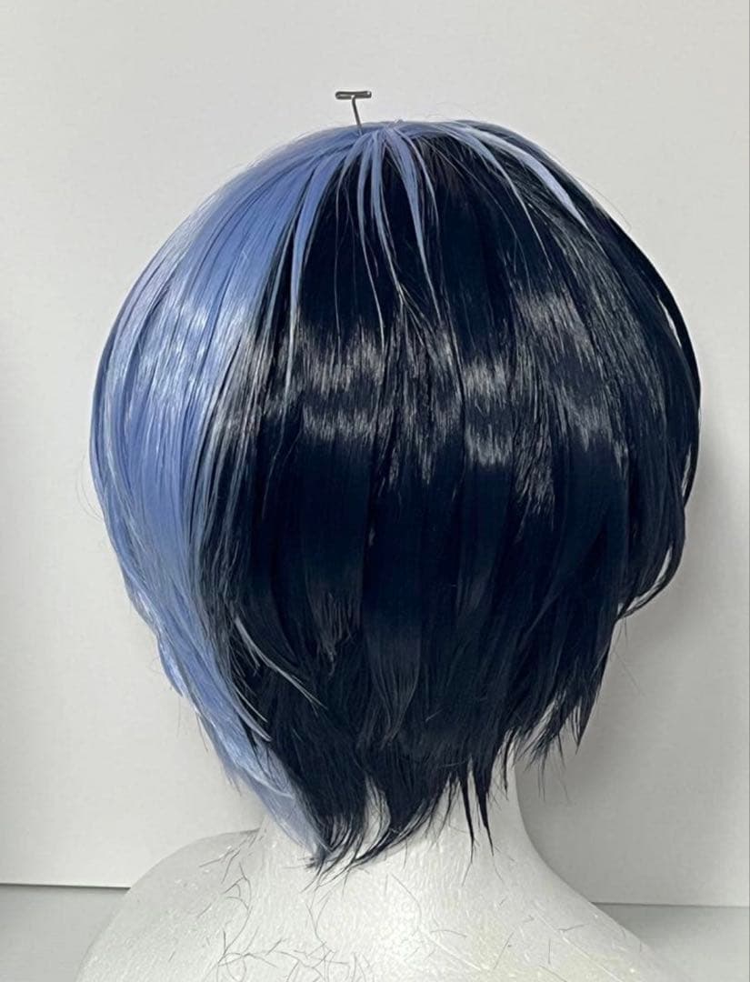 青柳冬弥 セット済みウィッグ