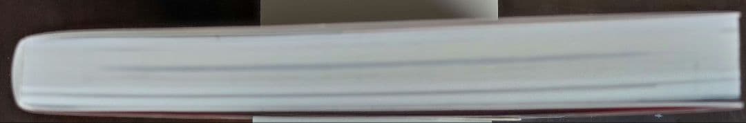 【美品】緋の天啓 サガスカーレットグレイス公式設定資料+攻略ガイド　増補版