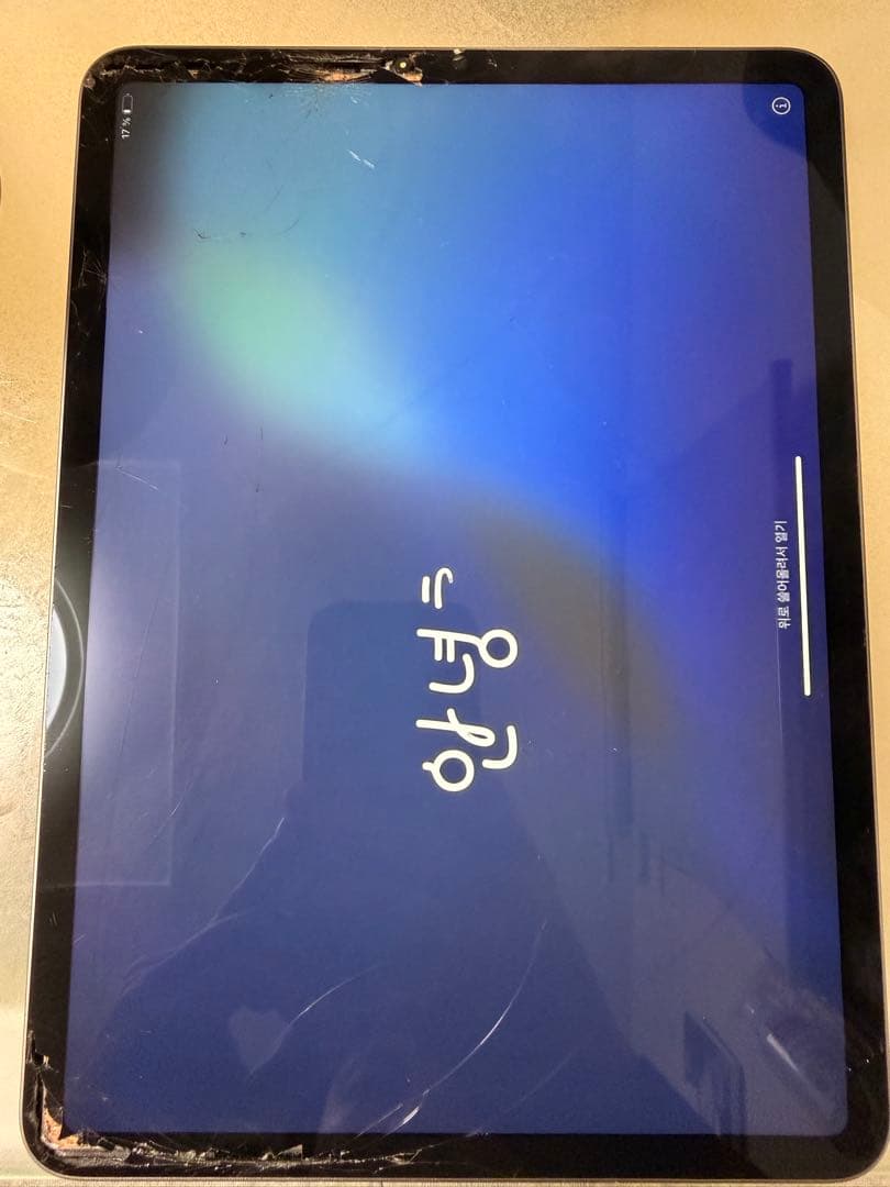 檜*瑞様 藤*本様 iPad Pro 11インチ　第3世代