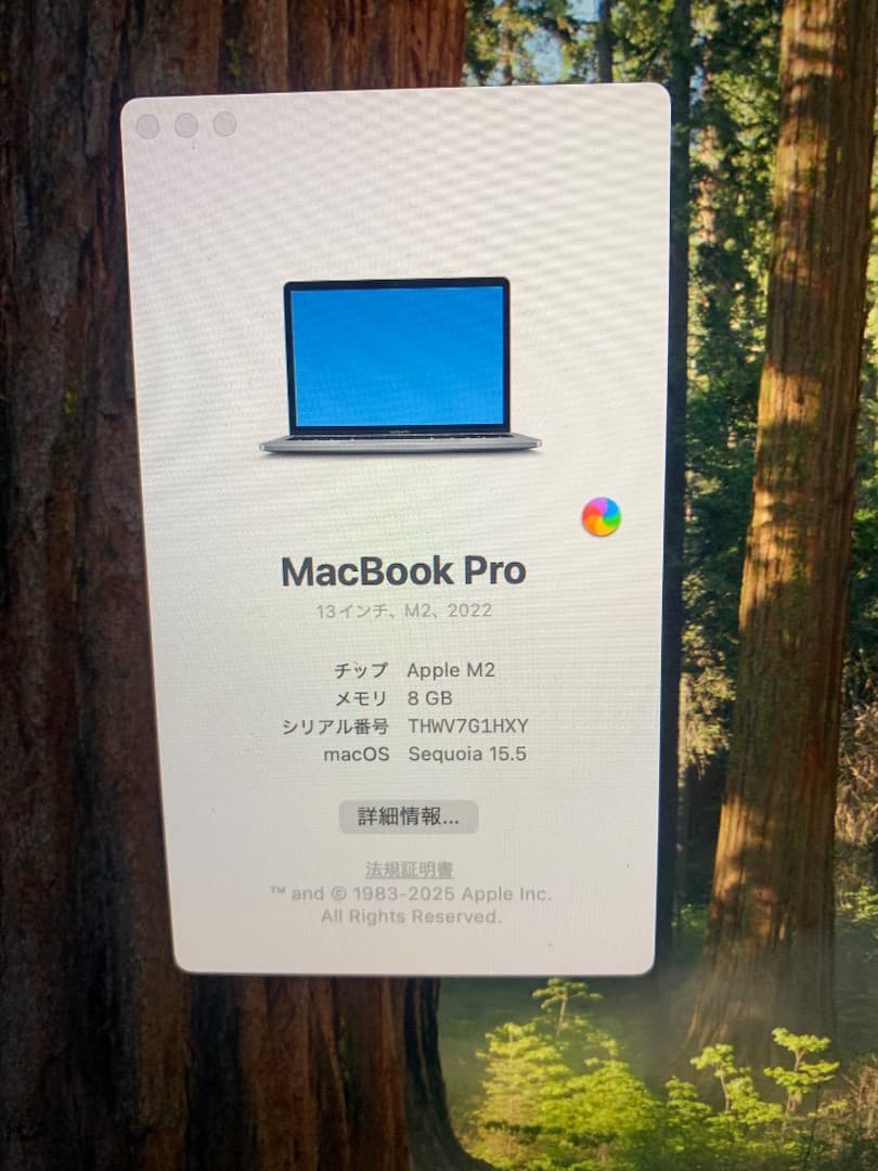 MacBook本体 MacBook pro 2022 model A2338 ssd 512GB