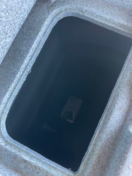 蔵王産業 スーパースチームリンサー 業務用 リンサー