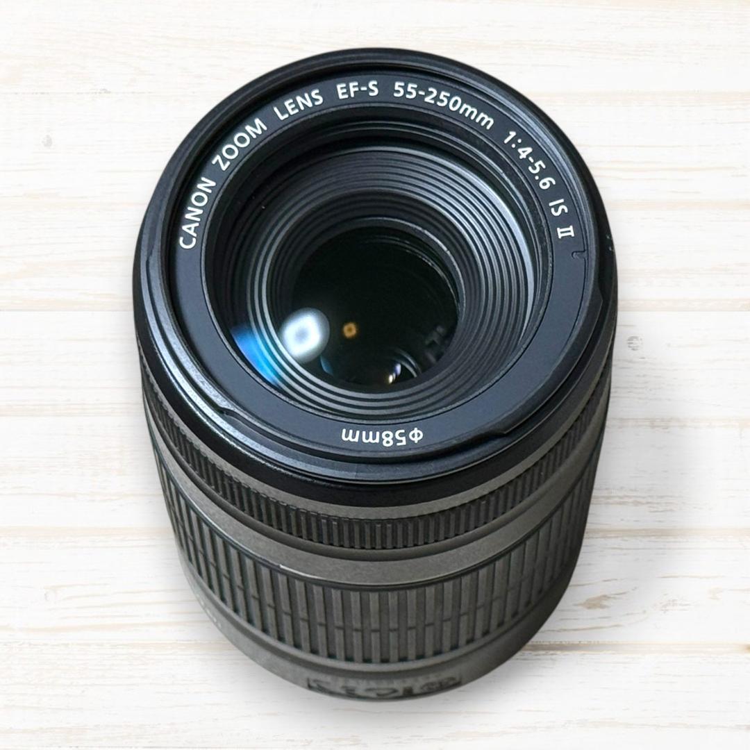 Canon ズームレンズ EF-S 55-250mm IS Ⅱ #236