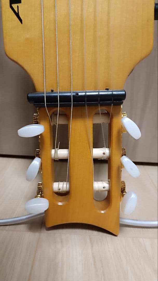 ARIA Sinsonido AS-490C サイレントギター