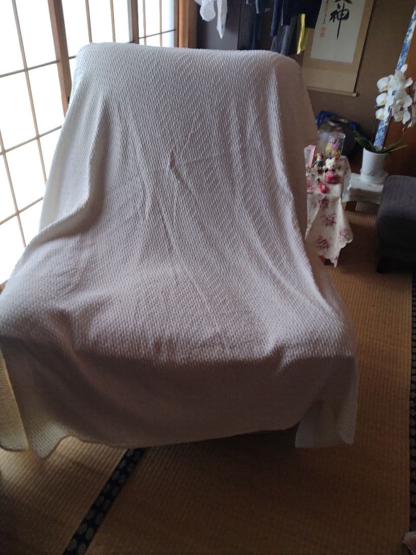 Flexispot リクライニングソファ XRC5 フレキシスポット