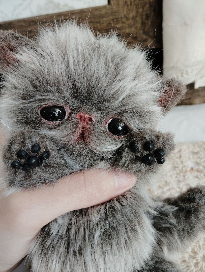 ミルクラテカラー♡子猫のミラちゃん♡エキゾチック♡アートドール♡ぬいぐるみ♡