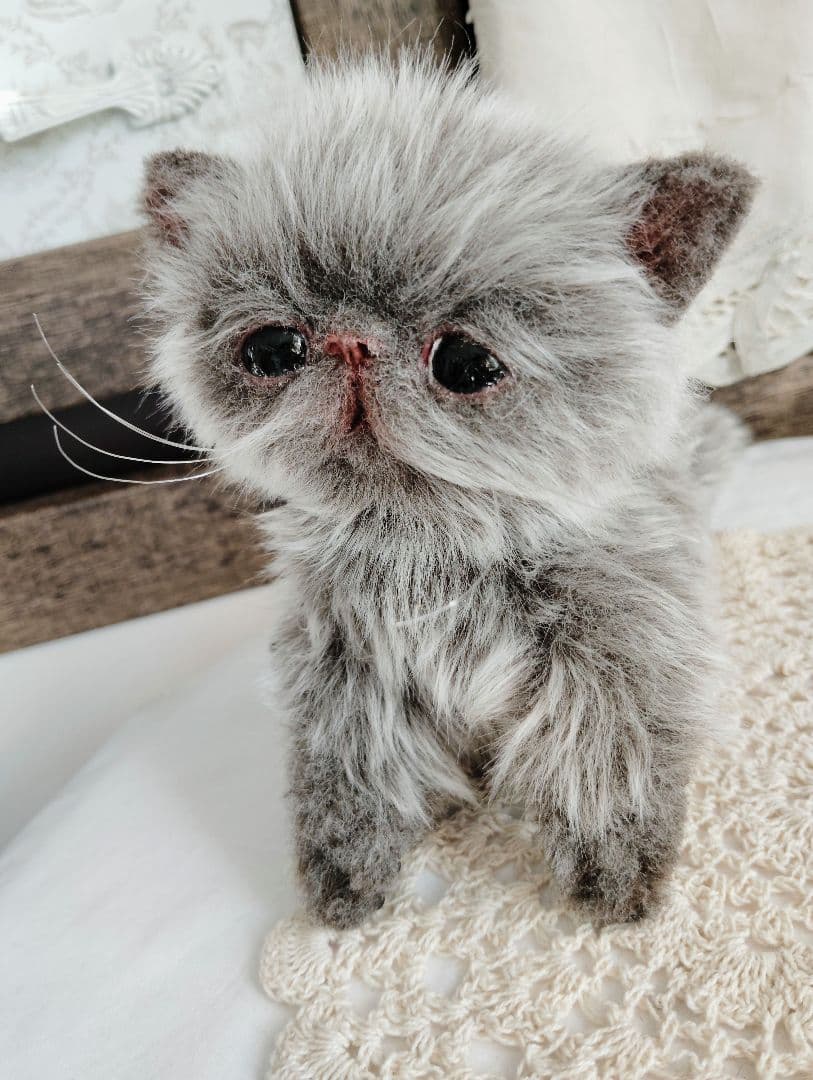 ミルクラテカラー♡子猫のミラちゃん♡エキゾチック♡アートドール♡ぬいぐるみ♡