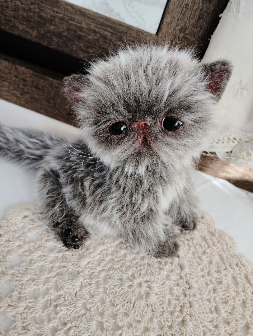 ミルクラテカラー♡子猫のミラちゃん♡エキゾチック♡アートドール♡ぬいぐるみ♡