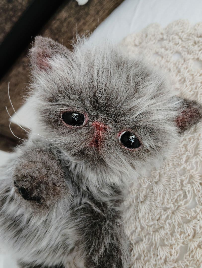 ミルクラテカラー♡子猫のミラちゃん♡エキゾチック♡アートドール♡ぬいぐるみ♡