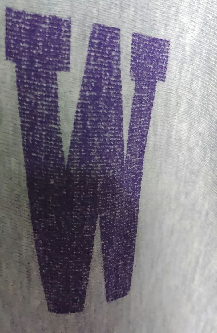 d*i様 80s トリコタグUSA製 チャンピオン リバースウィーブLサイズ 目