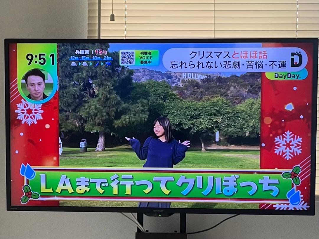 SHARP 42V型4K液晶テレビ AQUOS 4TC42DJ1 2021年製