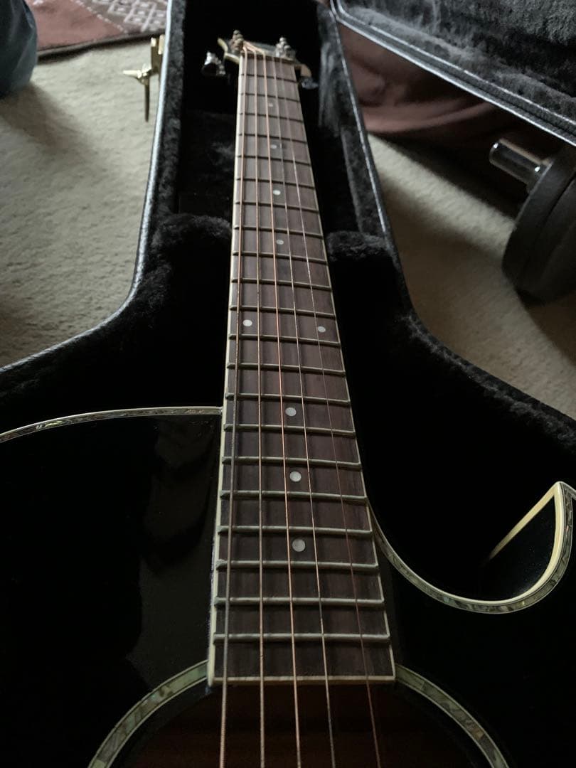 washburn/ワッシャバーン エレアコ ヌーノベッテンコート