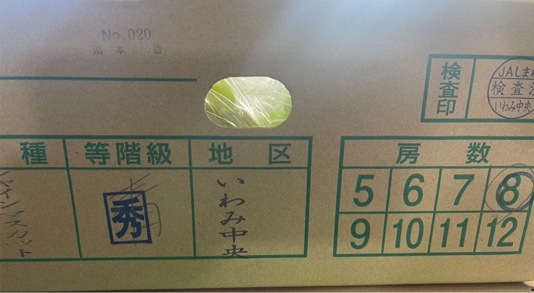 ⑨【島根県産】シャインマスカット約5キロ