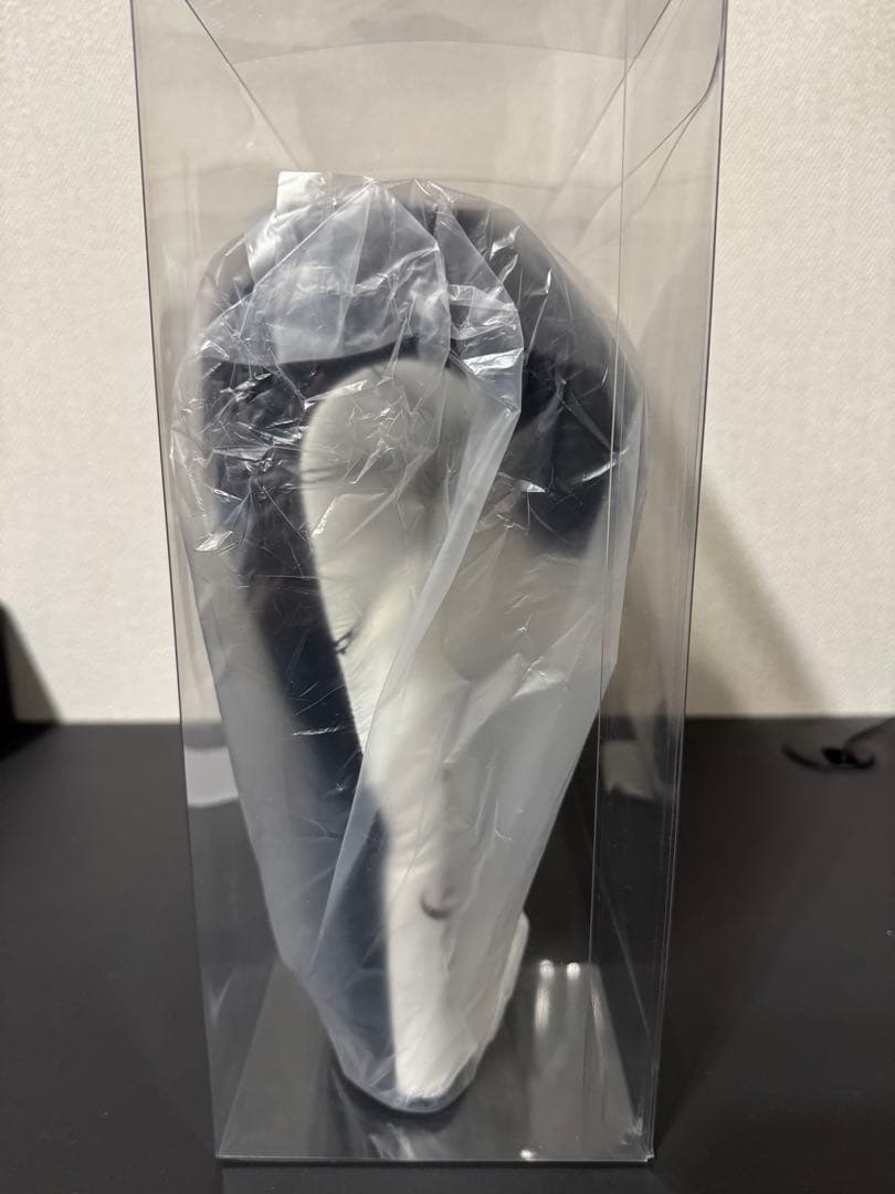 那須川天心 武尊 記念グローブ