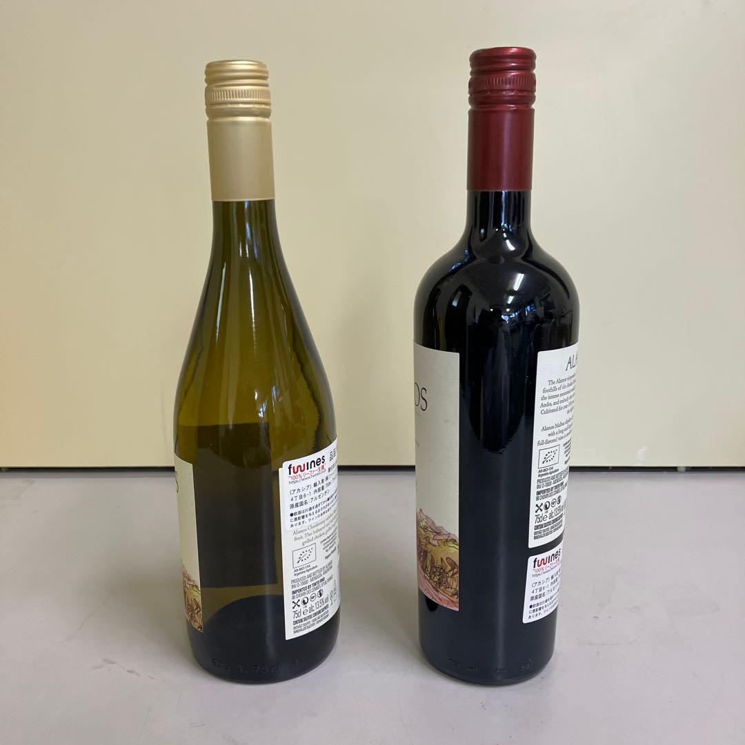 E壁 ALAMOS アラモス アルゼンチンワイン シャルドネ マルベック 古酒