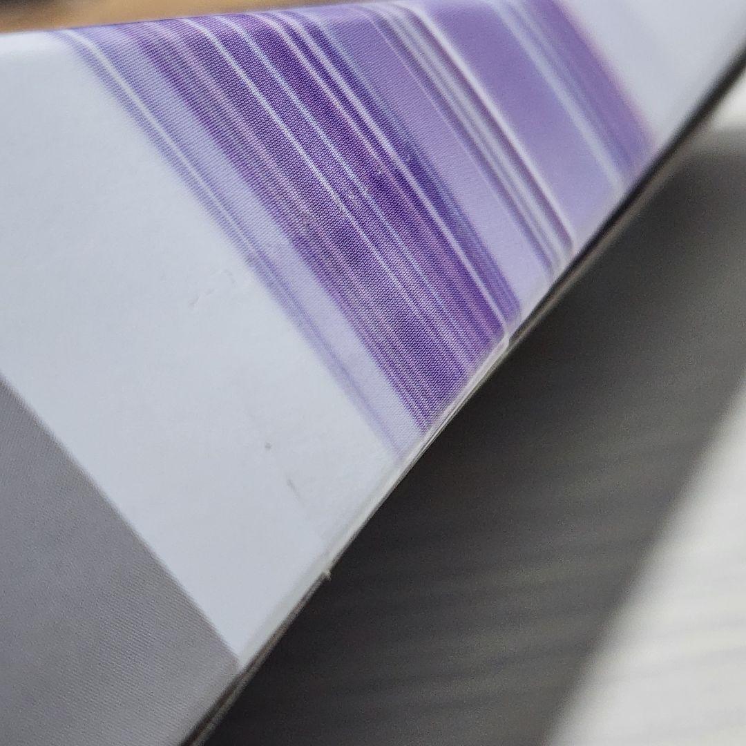 【新品 未開封】ワイバーンホバー 2-80GN DMMくじA賞 ベイブレードX