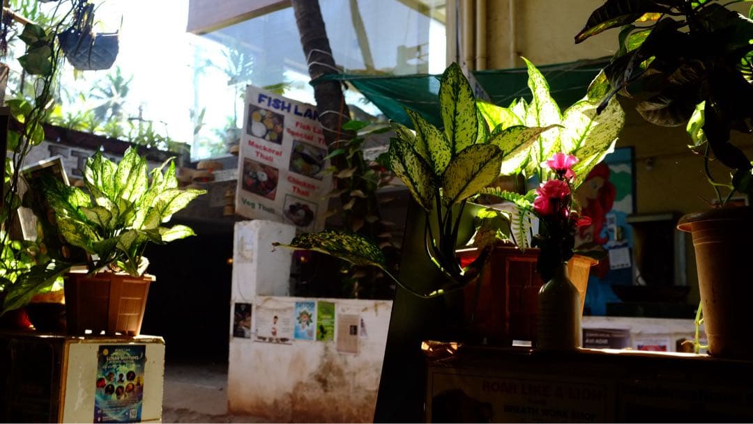 Fujifilm finepix X100 富士フィルム 稼働品(初代) 作例