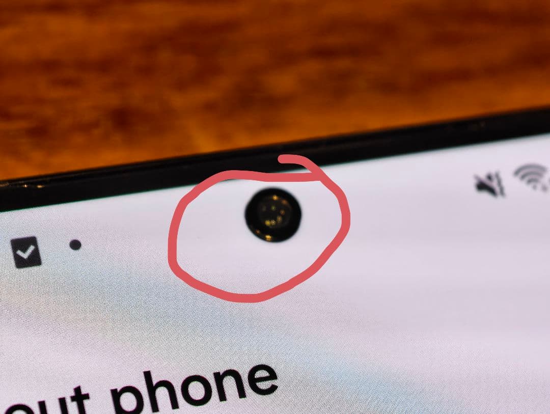 Galaxy S21 Ultra 256 gb ジャンク品