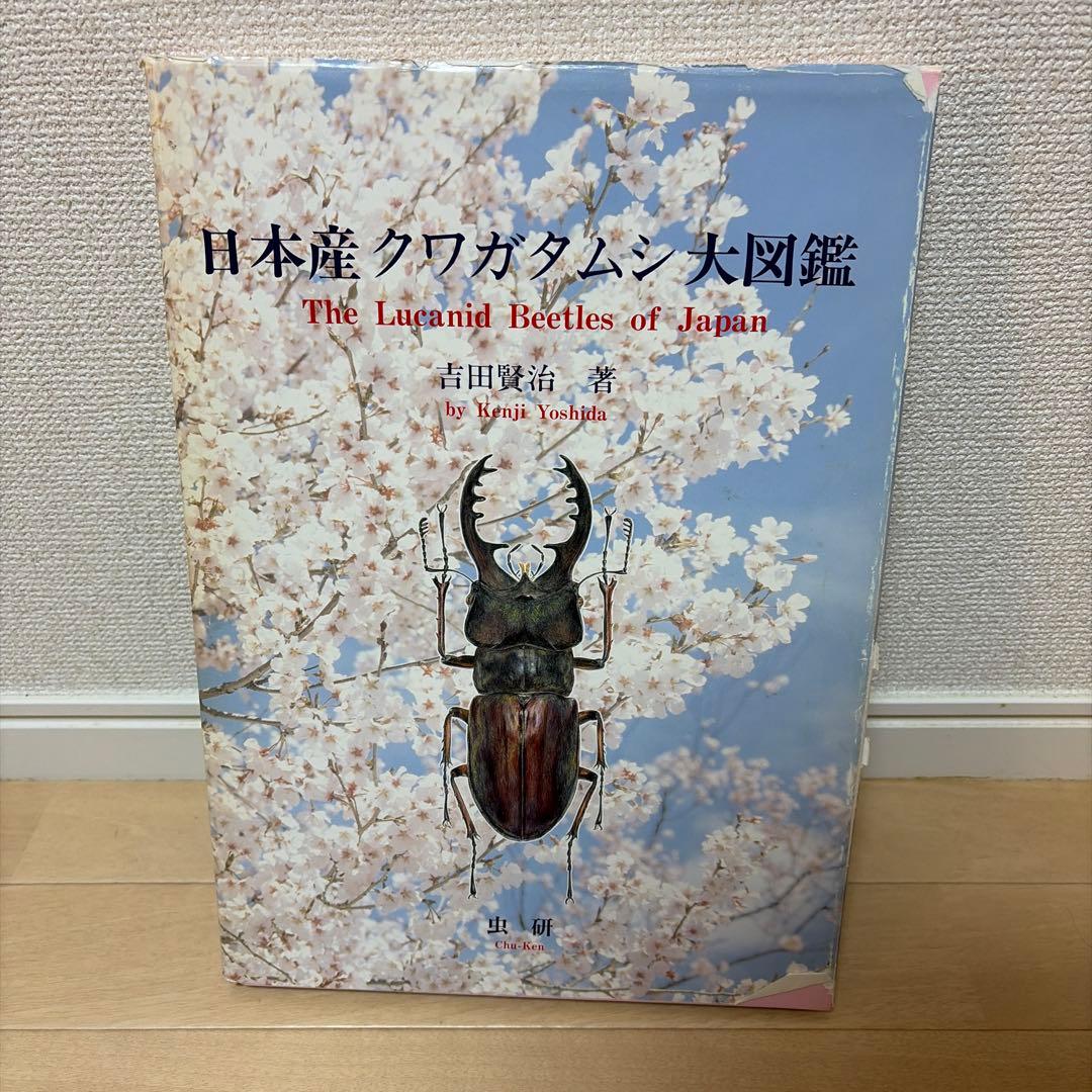 日本産 クワガタムシ 大図鑑 / 虫研 発行