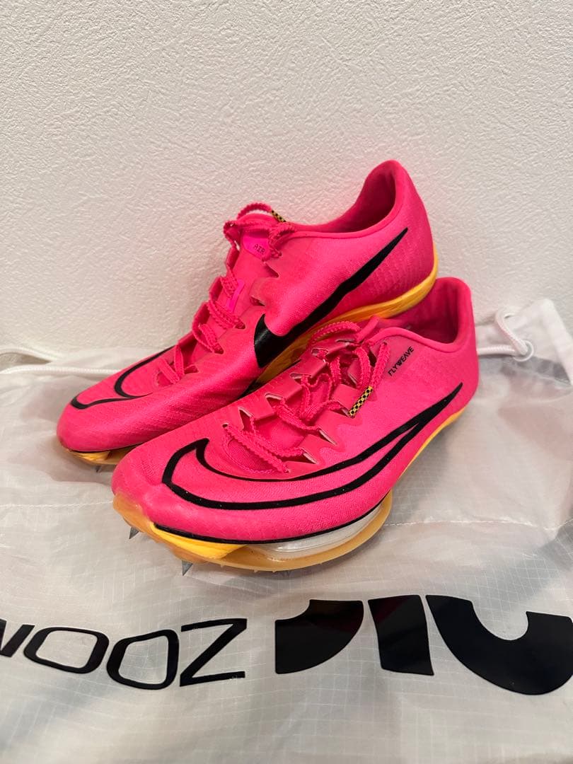 【美品パンクなし】Nike MAX Fly 25.0cm