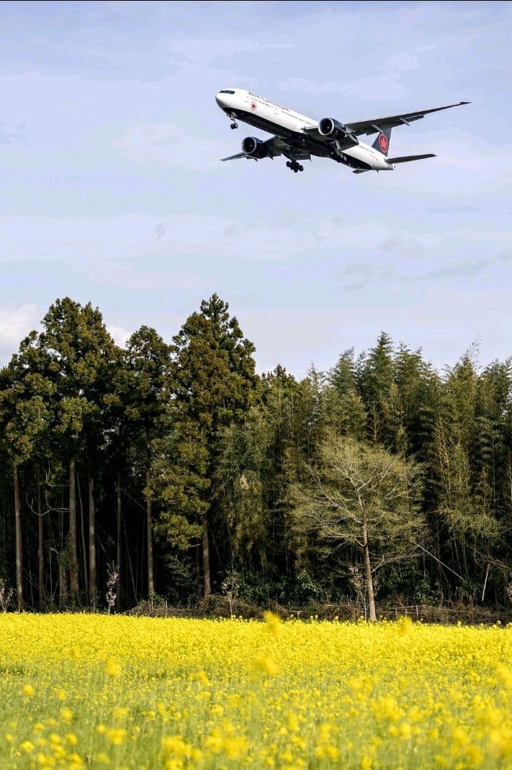 【美品】LUMIX G 20mm F1.7 ASPH. 単焦点レンズ