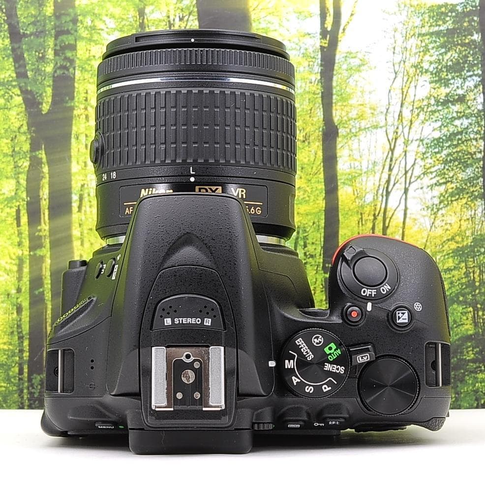 スマホ転送機能付☆Nikon D5600☆シリーズ最新&新型レンズセット