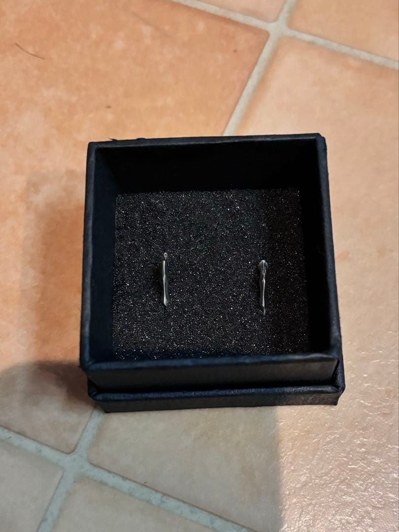 RADIANT オリジナルピアス らんぬん