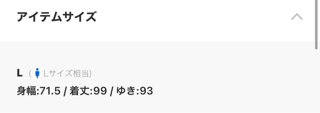 THE NORTHFACE PURPLELABEL パープルレーベル　L