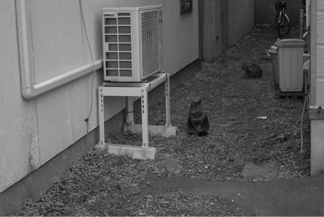 Leica ズマロン35mm f/3.5