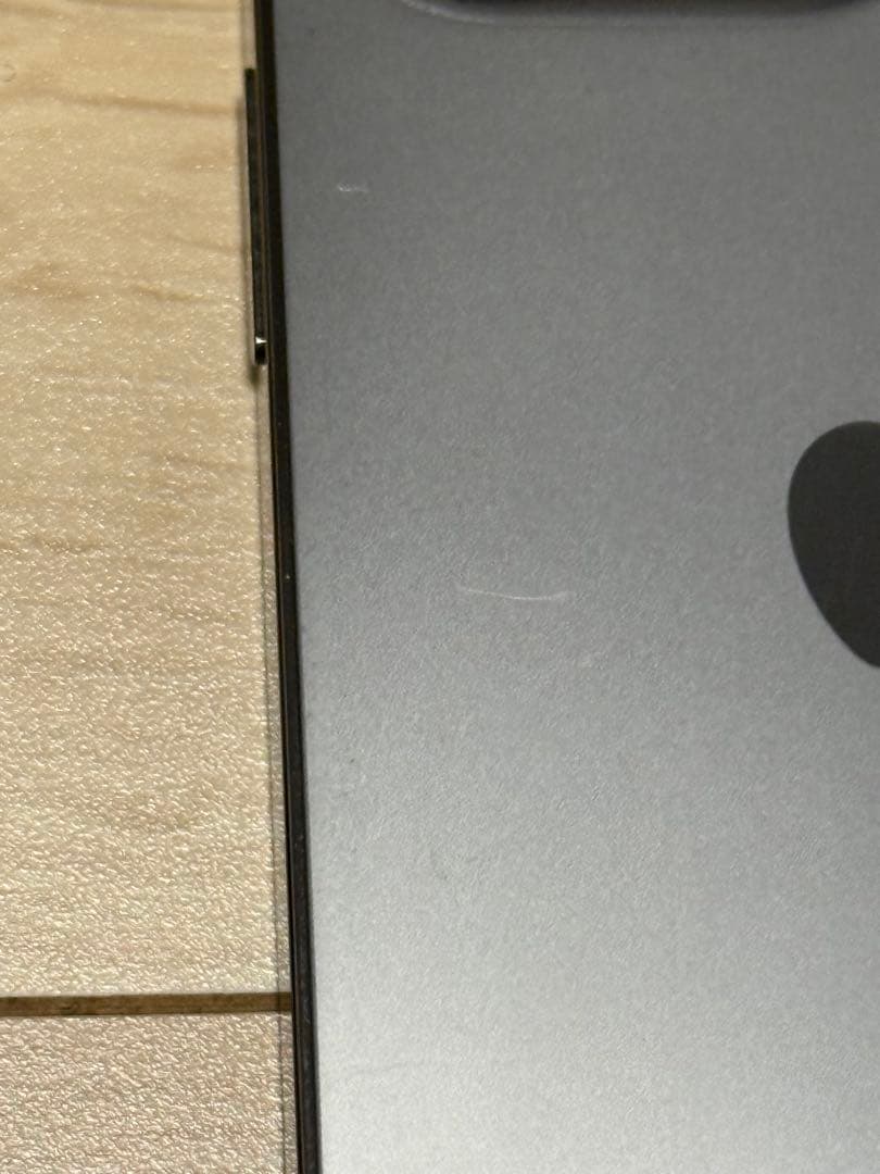 iPhone13pro / SIMフリー