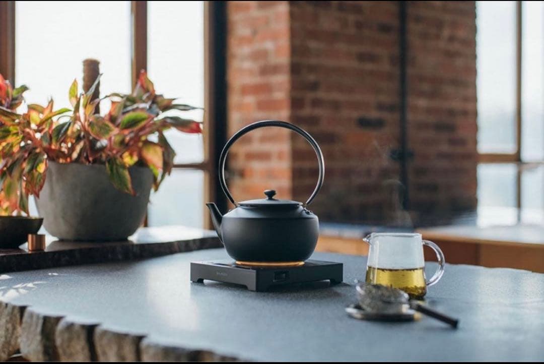 【新品未使用】BALMUDA ムーンケトル バルミューダ KPT02JP-BK