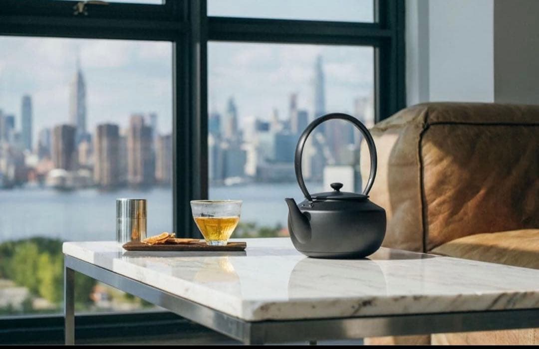 【新品未使用】BALMUDA ムーンケトル バルミューダ KPT02JP-BK