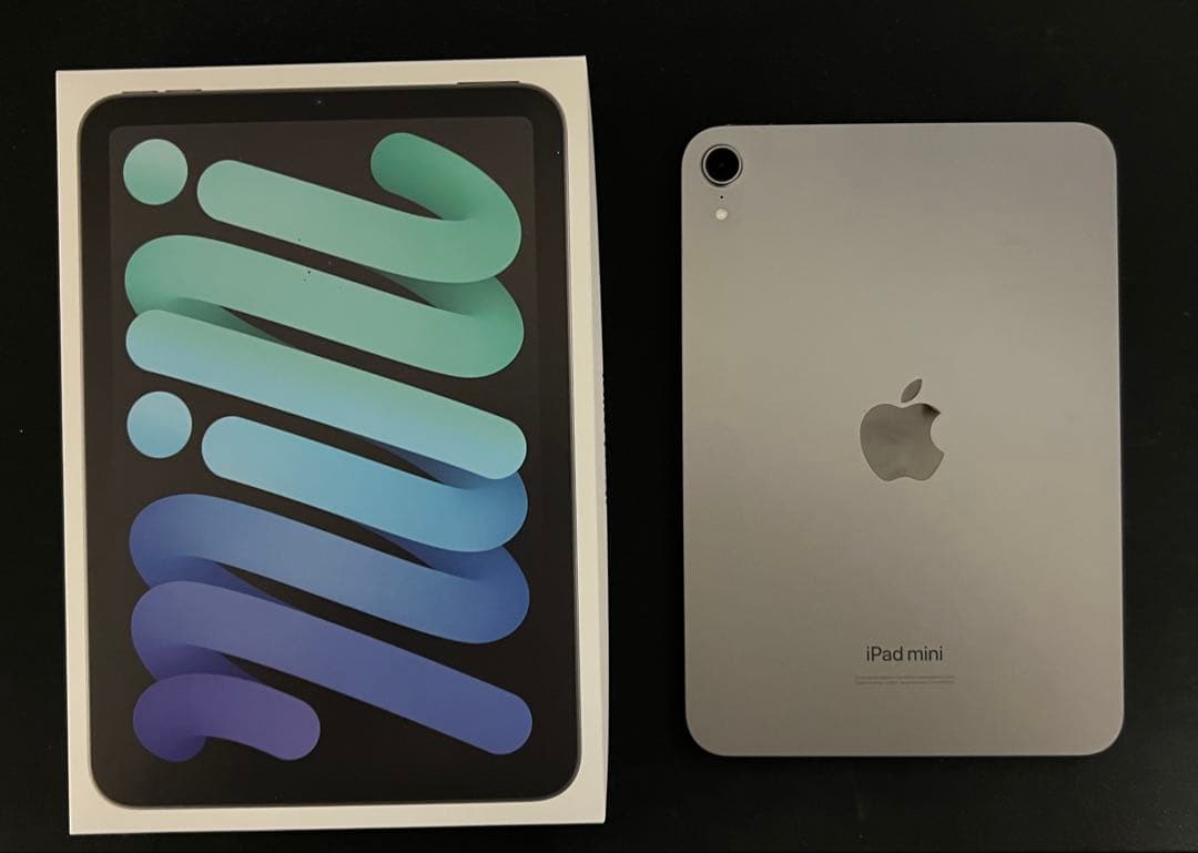 【BT100%】iPad mini (A17 pro) 128gb 本体