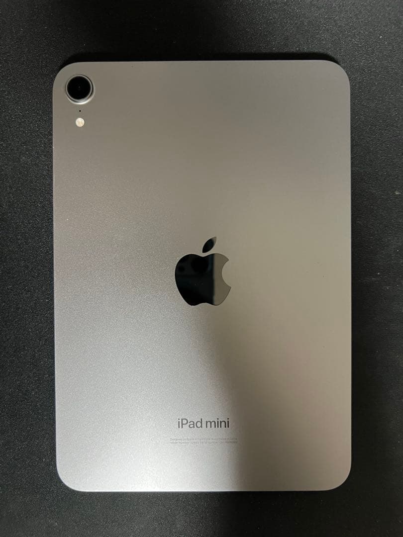 【BT100%】iPad mini (A17 pro) 128gb 本体
