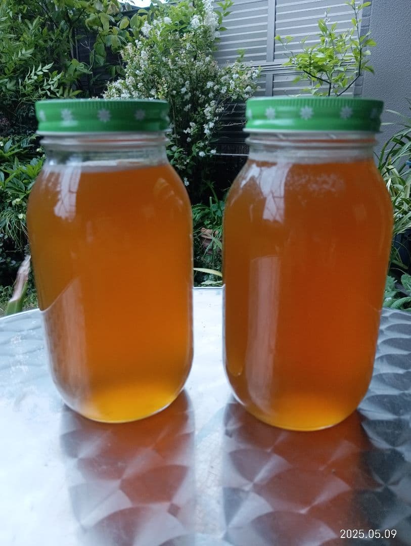 国産天然はちみつ　ニホンミツバチの百花蜜　1150グラム　2本