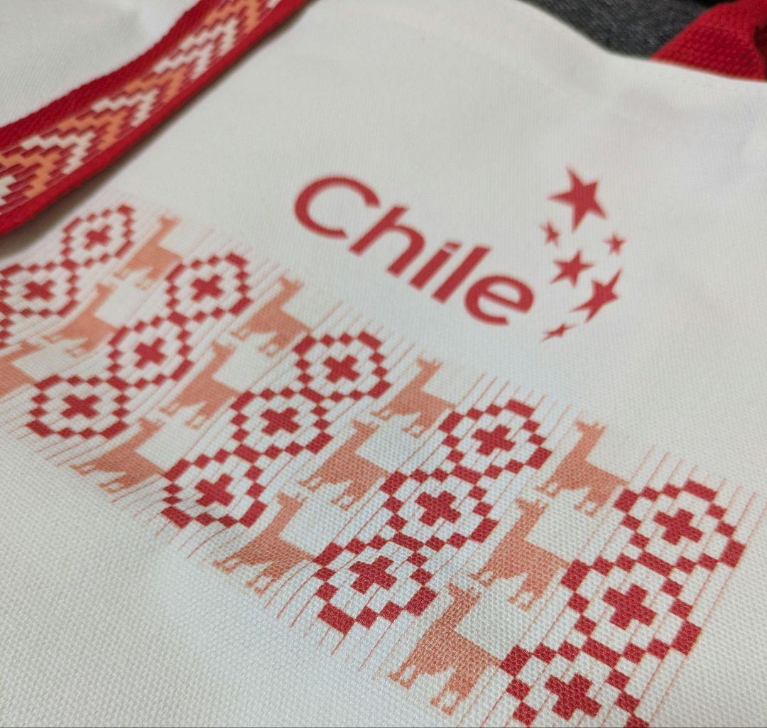 そ*☆様 大阪　万博　チリ　パビリオン　水筒　トートバッグ　セット