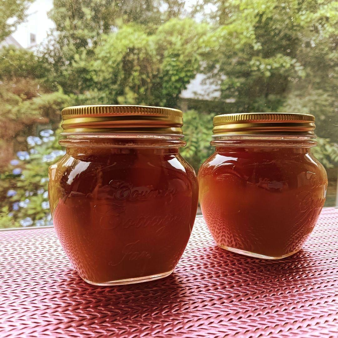 日本蜜蜂ハチミツ880g採れたて垂れ蜜