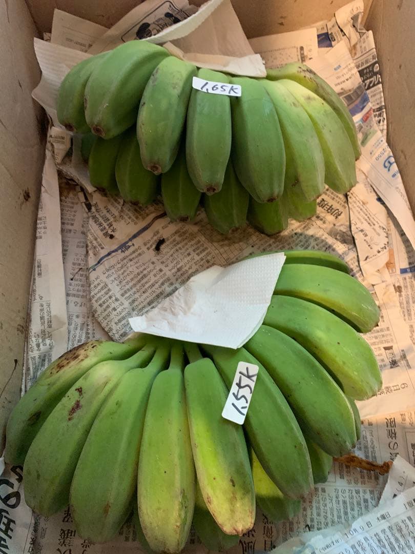 cherry bloosoms様　ご予約