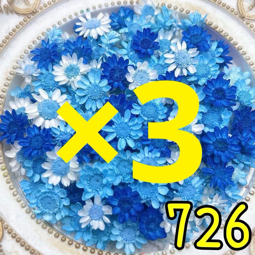 専用ページ✩.*˚