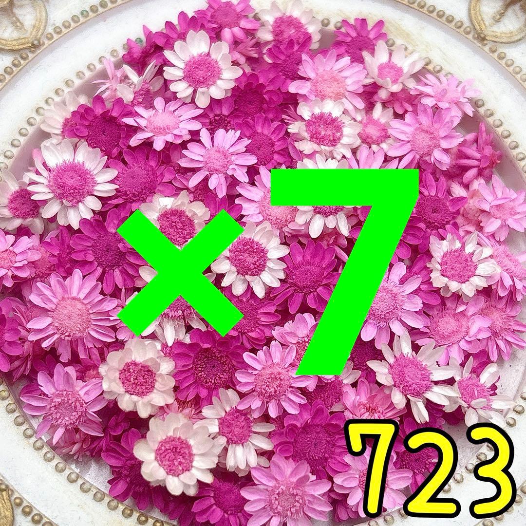 専用ページ✩.*˚