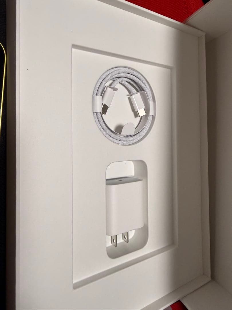 iPad A16 刻印あり