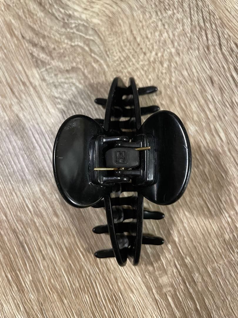 ALEXANDRE DE PARIS ヘアクリップ　M