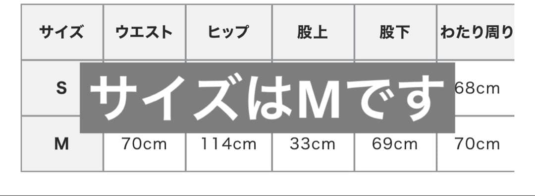 ETRE TOKYO 26SS サイドピンタックラインリラクシーパンツ ネイビー