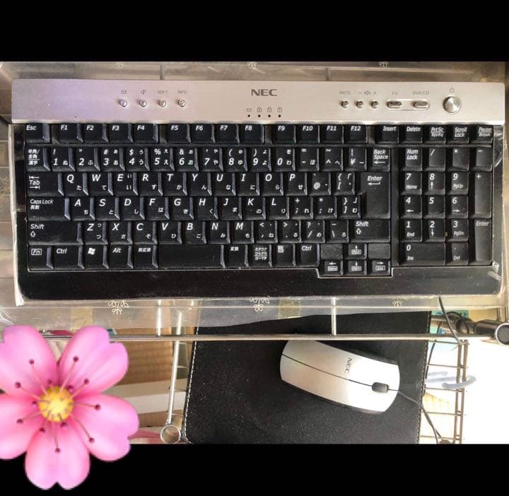 NEC VALUESTAR L PC-VL700AD 【中古品】パソコン