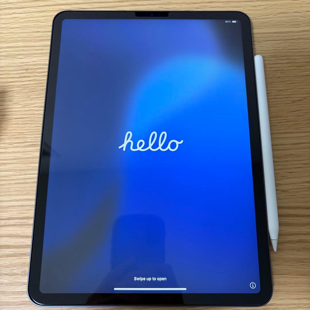 iPad Pro 11インチ 第1世代 256GB Wi-Fi スペースブラック