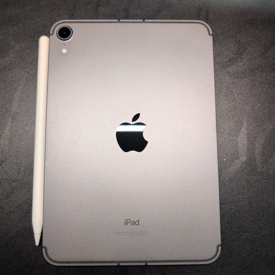 iPad mini (第6世代) スペースグレー + Apple Penci2
