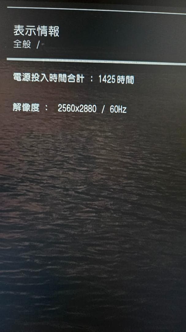 LG 28MQ780 27.6インチ 16:18 DualUpモニター