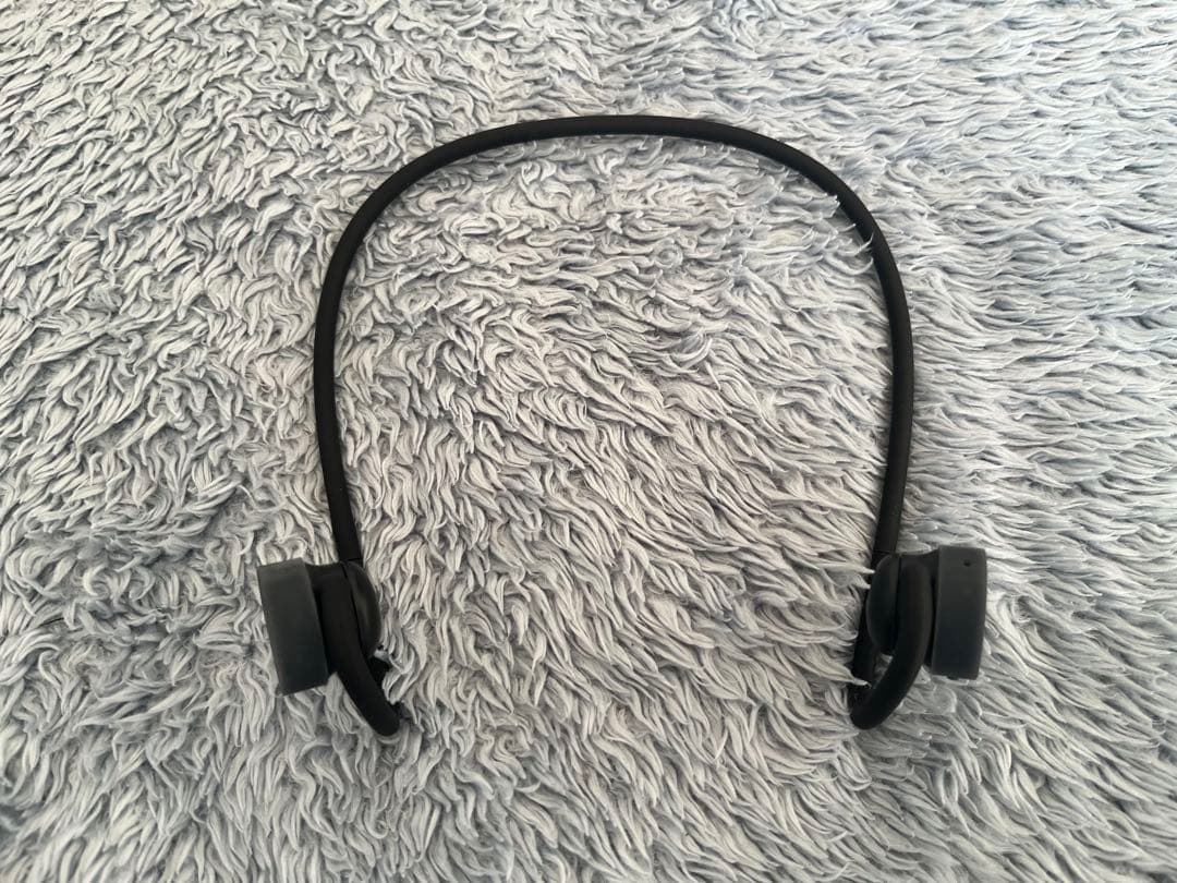 nwm GO イヤホン　フォグブラック