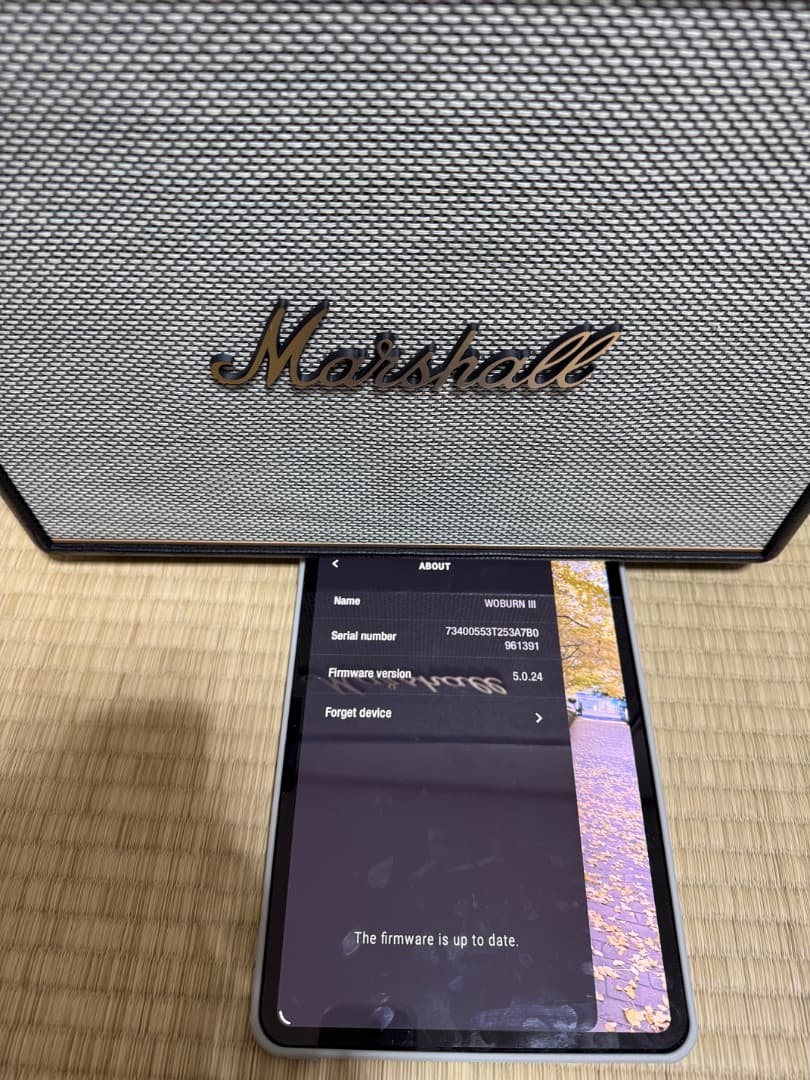 スピーカー・ウーファー Marshall woburn3