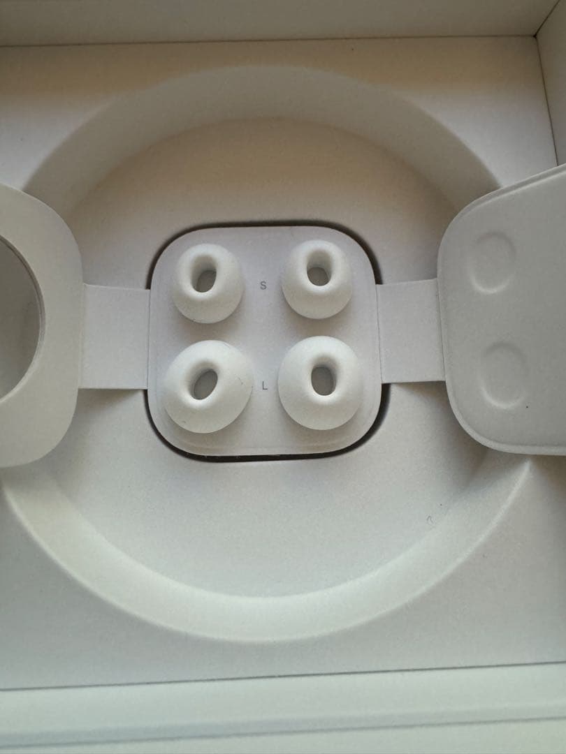 AirPods Pro 第1世代　本体