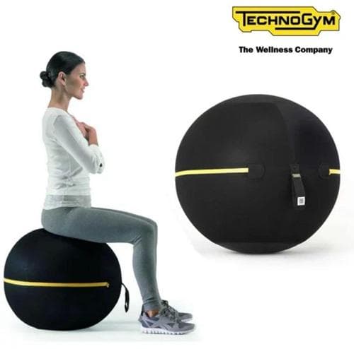 WELLNESS BALL　テクノジム アクティブシッティング